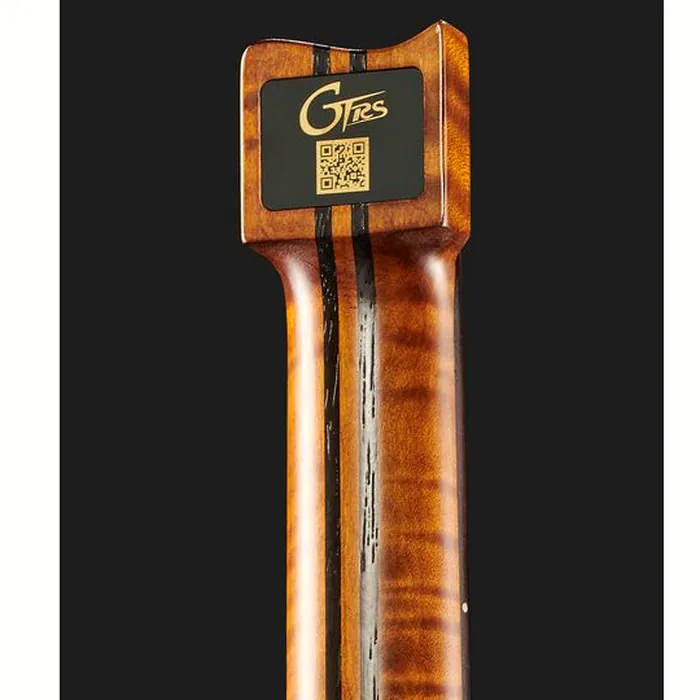 Mooer GTRS Guitars Wing 900 Int AGR – photo 9