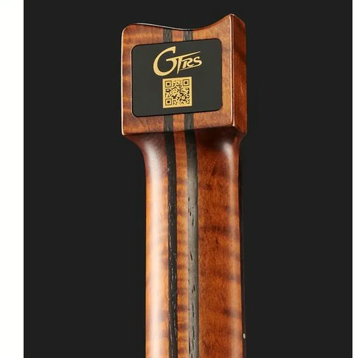 Mooer GTRS Guitars Wing 900 Int APU – photo 9