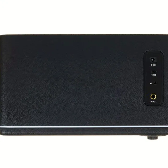Mooer Hornet 15i Modeling Amp Black – photo 8