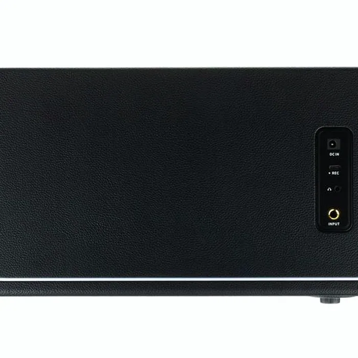Mooer Hornet 30i Modeling Amp Black – photo 8