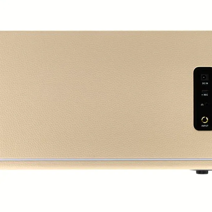 Mooer Hornet 30i Modeling Amp White – photo 8