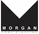 Morgan Amplification AC20 Head Twilight