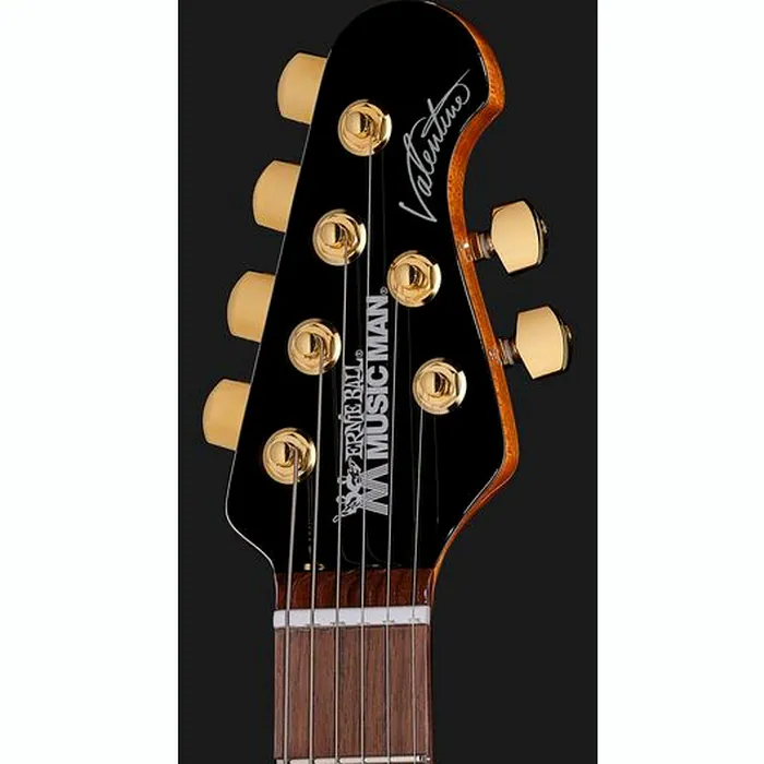 Music Man Valentine Gloss Black – photo 8