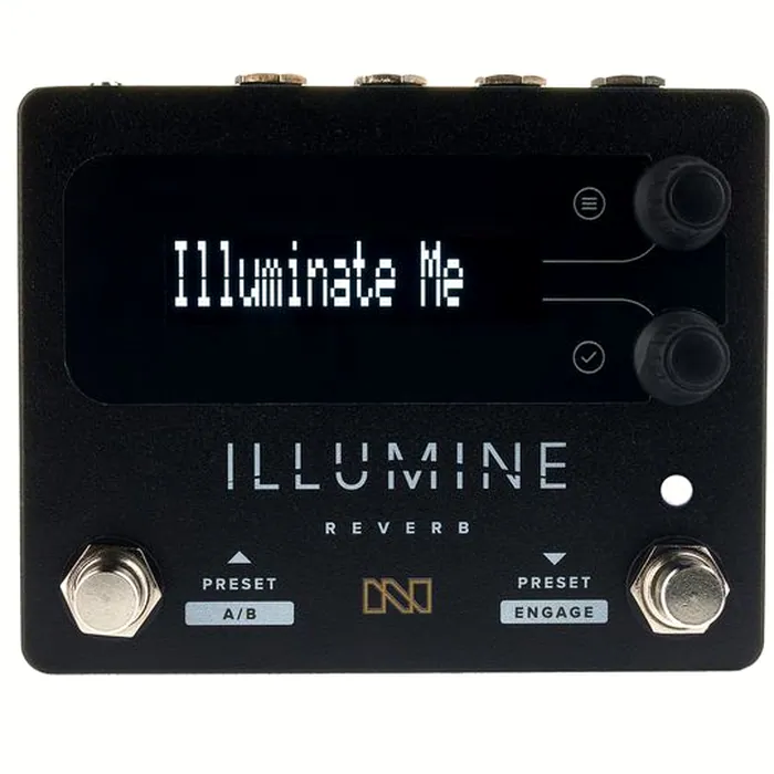 Neunaber Illumine Stereo Reverb – photo 8
