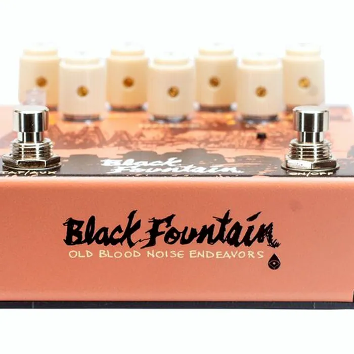 Old Blood Noise Endeavors Black Fountain Stereo Delay TE – photo 6