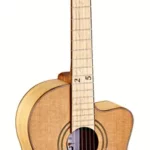 Guitare classique Ortega RCE179SN-25TH Guitar | Test, Avis & Comparatif