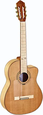 Ortega RCE179SN-25TH Guitar B-Stock