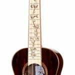 Le ukulélé Ortega RU-25TH-TE Tenor Uklulele | Test, Avis & Comparatif