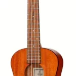 Le ukulélé Ortega RU5MM-TE Ukulele | Test, Avis & Comparatif