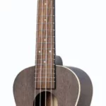 Le ukulélé Ortega RUCOAL-L Concert | Test, Avis & Comparatif