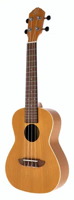 Ortega RUGOLD Concert Ukulele B-Stock