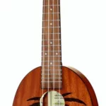 Le ukulélé Ortega RUPA5MM-E Concert Pineapple | Test, Avis & Comparatif