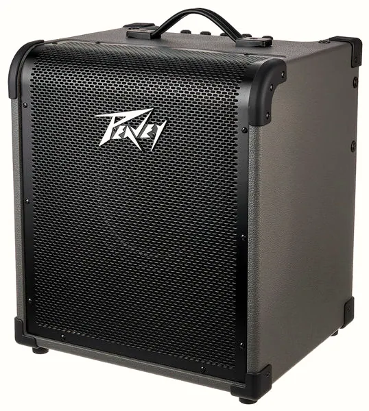 Peavey Max 100