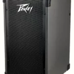 Combo Basse Peavey Max 208 | Test, Avis & Comparatif