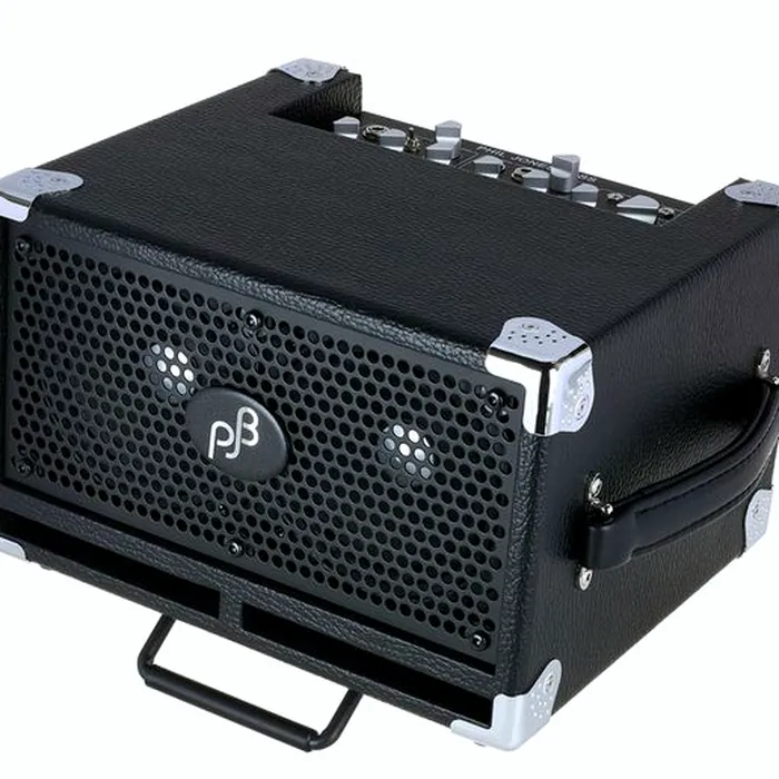 Phil Jones BG-120 Bass Cub Pro Combo – photo 12