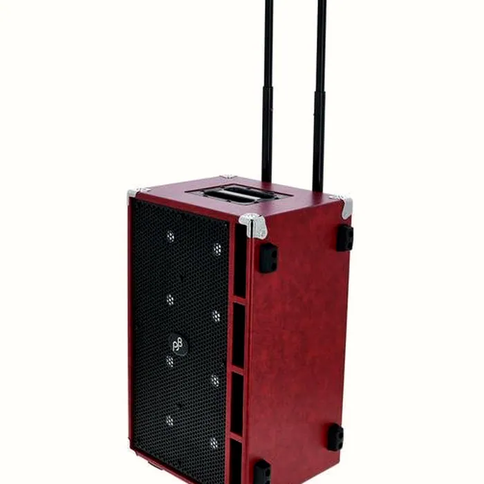 Phil Jones Compact C8 Bass Cabinet RD – photo 8