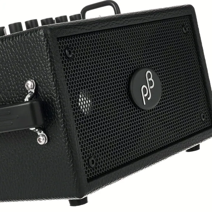 Phil Jones Double Four Plus BG-80 BK – photo 12