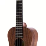 Le ukulélé Pono ATD Tenor Deluxe | Test, Avis & Comparatif