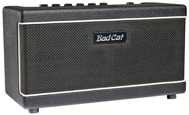 pour guitare électrique Bad Cat The Paw