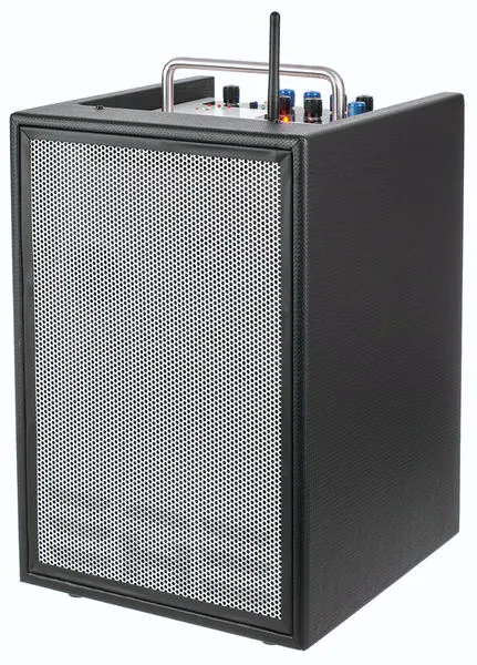 pour guitare électrique Elite Acoustics A4-8 MK II Acoustic Amplifier