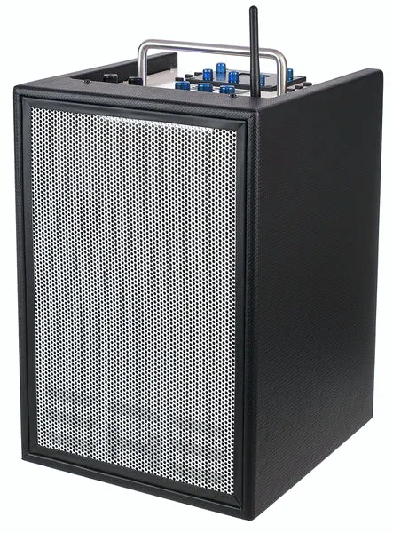 pour guitare électrique Elite Acoustics D6-8 MKII Acoustic Amplifier