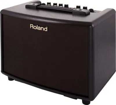 pour guitare électrique Roland AC-33 RW B-Stock