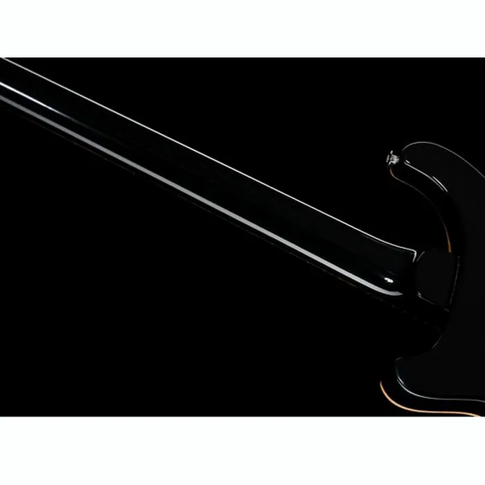 PRS 40th Anniv. Custom 24 SuZ – photo 12