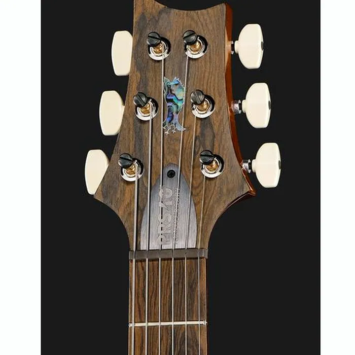 PRS 40th Anniv. Custom 24 TE – photo 8