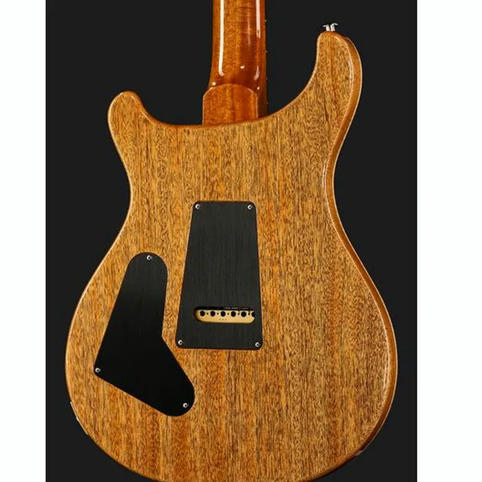 PRS 40th Anniv. Custom 24 TE – photo 7