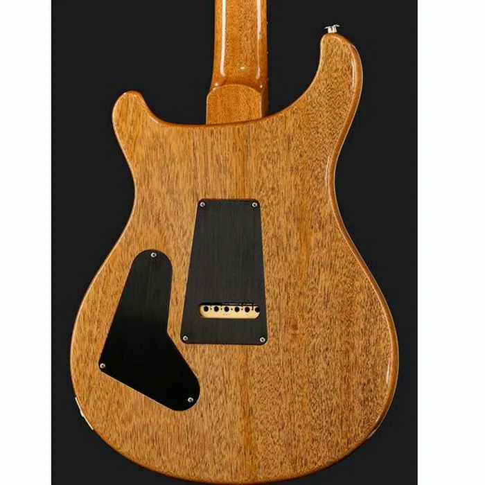 PRS 40th Anniversary Custom 24 TE – photo 7
