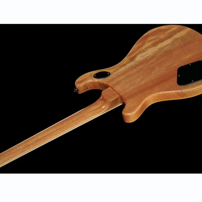 PRS 70th SE McCarty 594 Quilt BO – photo 10