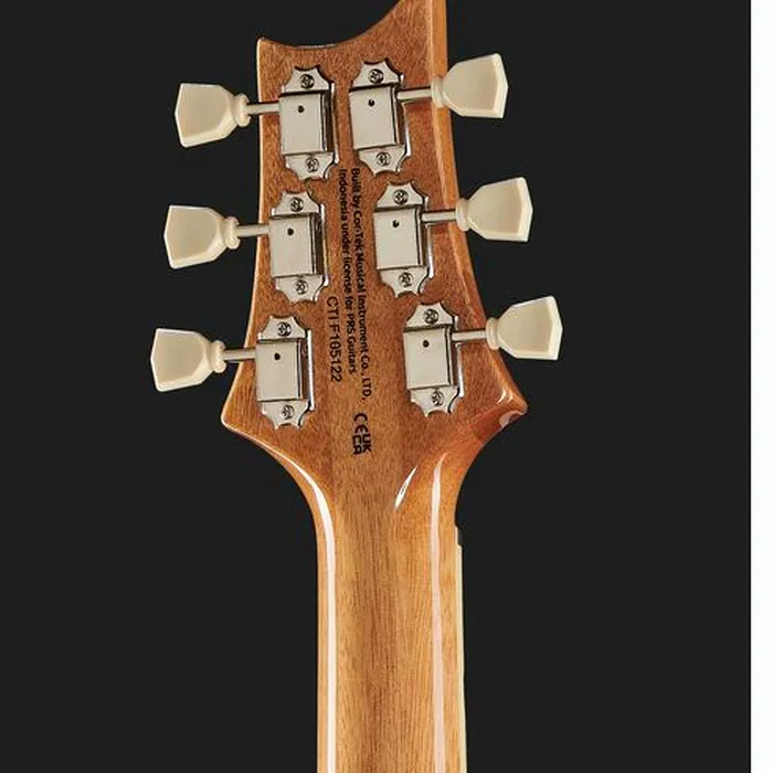 PRS 70th SE McCarty 594 Quilt BO – photo 9