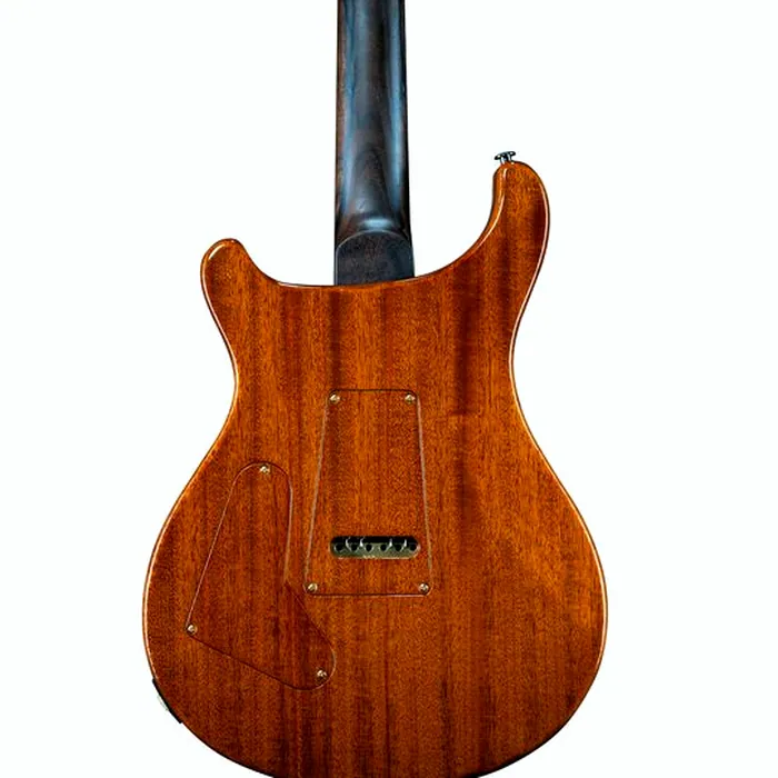 PRS Cu24 PS Sage Dragons Breath – photo 4