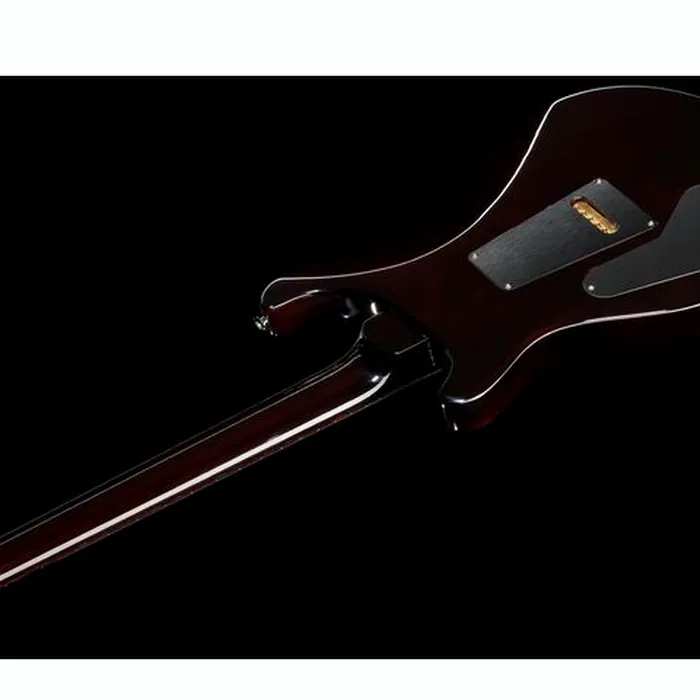 PRS Custom 24/08 BW – photo 10