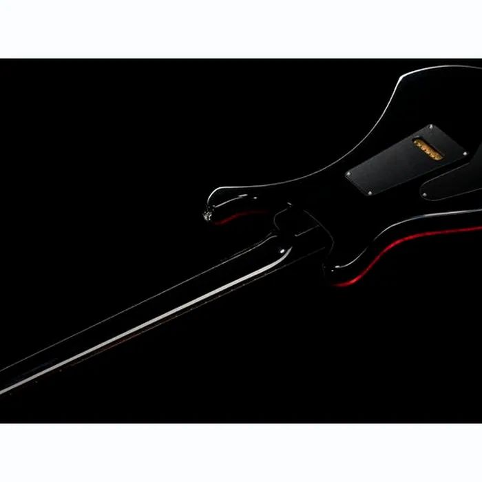 PRS Custom 24/08 FSB – photo 10