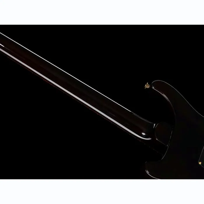 PRS Custom 24 BGWB 10 Top – photo 12