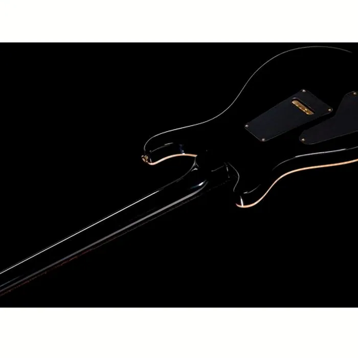 PRS Custom 24 CB 10 Top – photo 10
