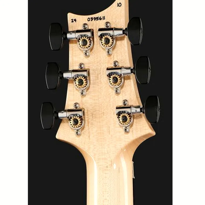 PRS Custom 24 Floyd 10 Top CH – photo 9