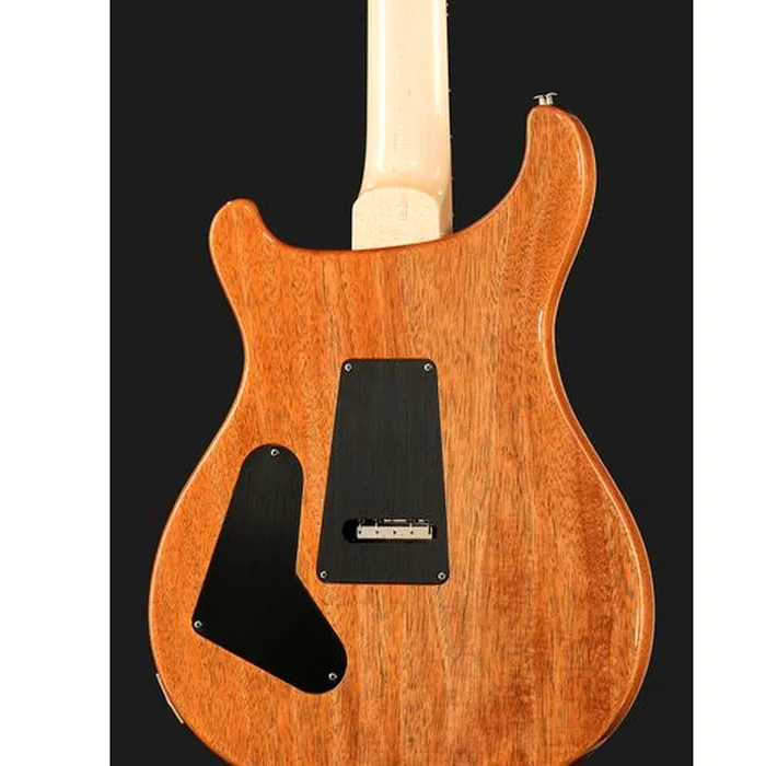 PRS Custom 24 Floyd 10 Top CH – photo 7