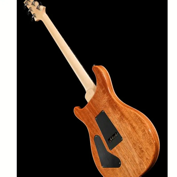 PRS Custom 24 Floyd 10 Top CH – photo 11
