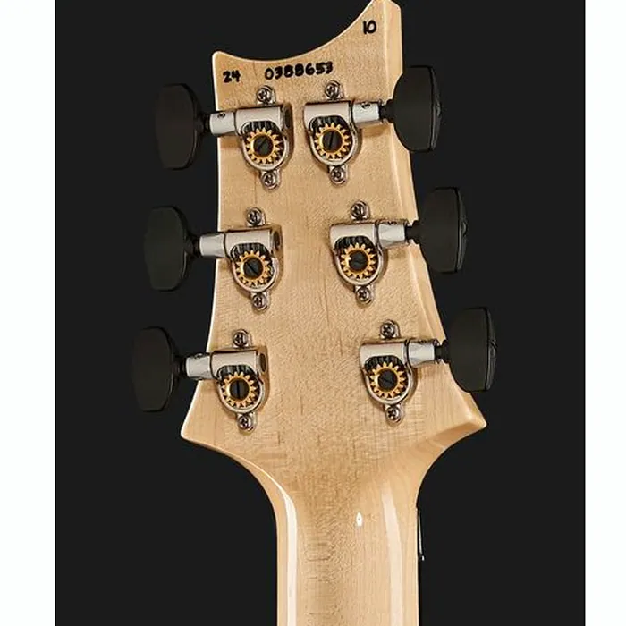 PRS Custom 24 Floyd 10 Top CH 2024 – photo 9