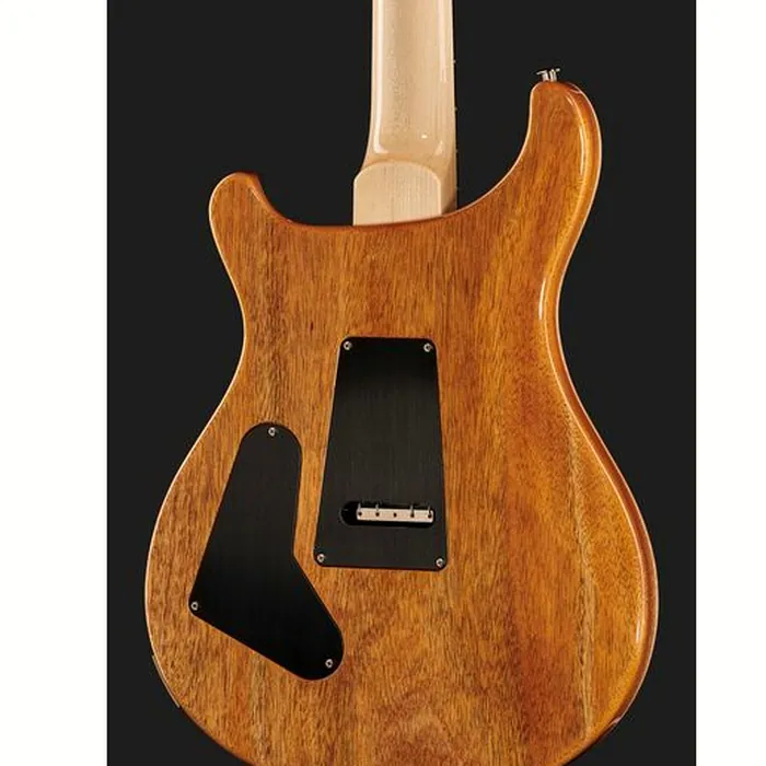 PRS Custom 24 Floyd 10 Top CH 2024 – photo 7