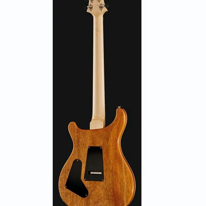 PRS Custom 24 Floyd 10 Top CH 2024 – photo 5