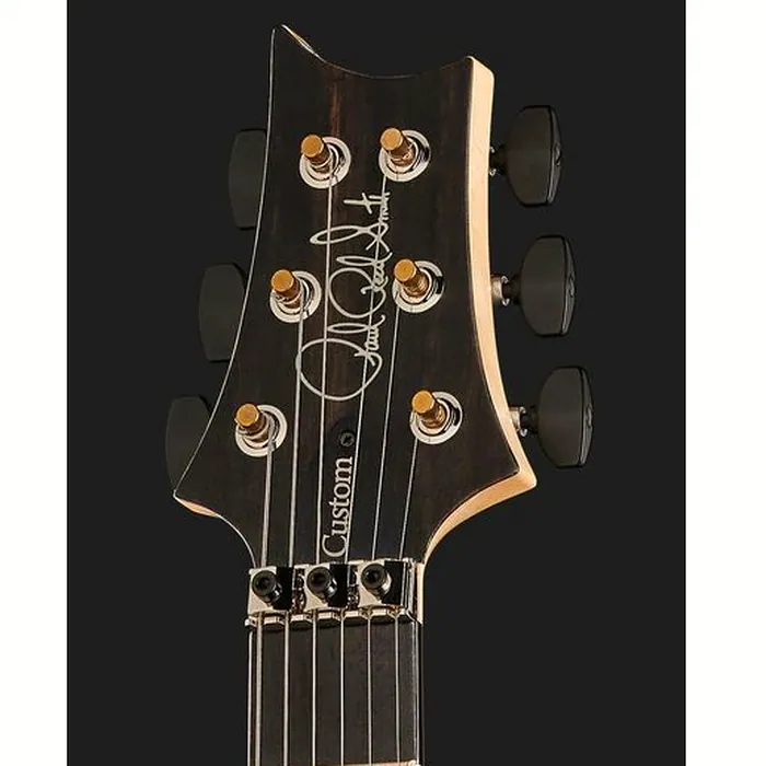 PRS Custom 24 Floyd 10 Top CH 2024 – photo 8