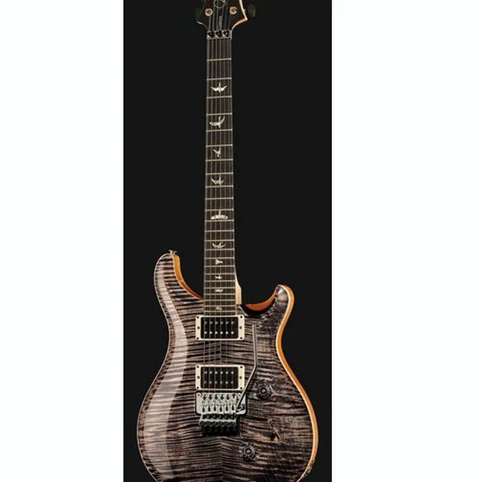 PRS Custom 24 Floyd 10 Top CH 2024 – photo 4