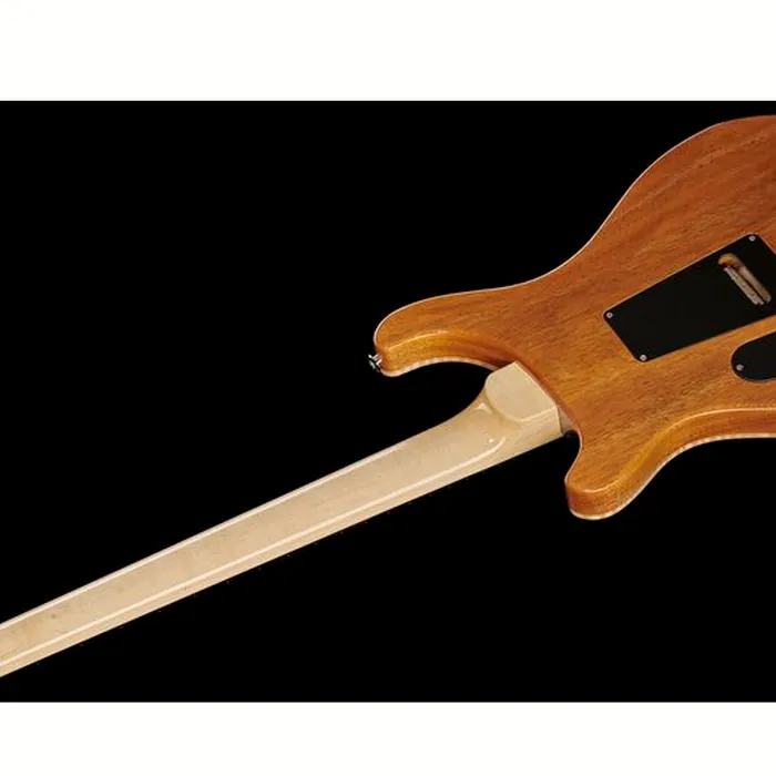 PRS Custom 24 Floyd 10 Top CH 2024 – photo 10