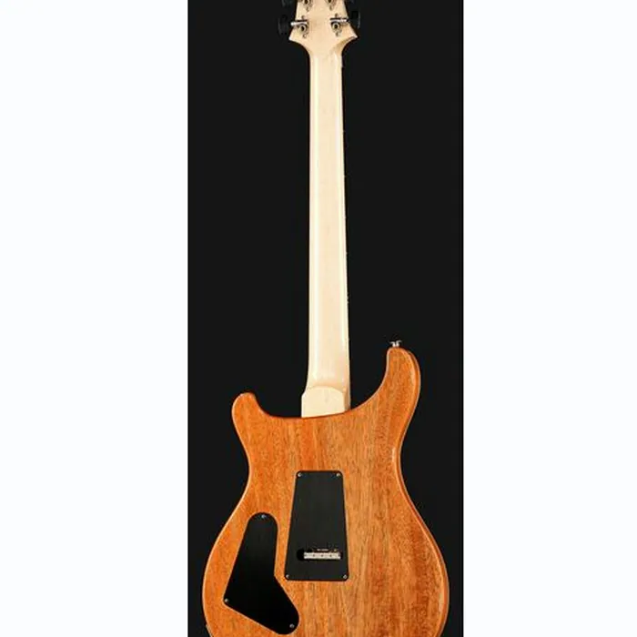 PRS Custom 24 Floyd 10 Top CH – photo 5