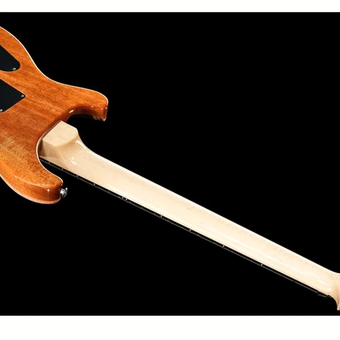 PRS Custom 24 Floyd 10 Top CH – photo 12