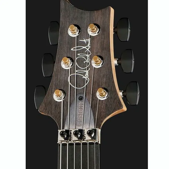 PRS Custom 24 Floyd 10 Top CH – photo 8