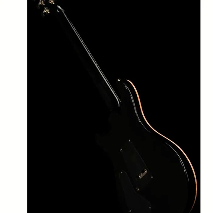 PRS Custom 24 Floyd 10 Top PT – photo 11